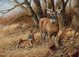 While artwork, piece size, and. Wildlife