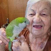 Knobloch Family Obituaries