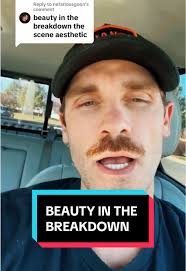 The Scene Aesthetic Beauty in The Breakdown