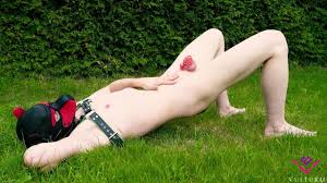 Puppy plays in the backyard and wets himself at the end