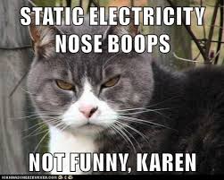 Not Funny Karen Karen Memes Kittens Funny Cat Memes