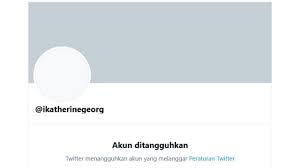 Whoever did this broke some serious laws here, boss. Laurene Beaumond Fake Journalists And Pakistani Hired Guns