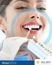 Kulzer North America