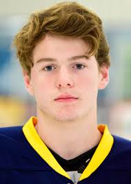 Blue Devils sort out lines in win over Negaunee