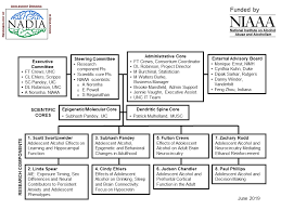 Organization Chart 2019 06 Nadia Consortium