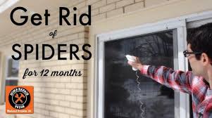 Garage door is kept down most of the time but webs appear in corners you have to keep the spiders out to stop cobwebs from forming. Get Rid Of Spiders For 12 Months Home Repair Tutor