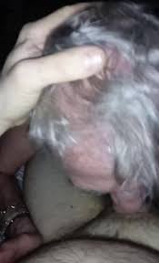 Zoox 18 - radio-gold.rs