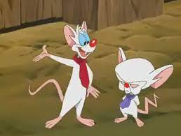 Pinkybrain22 Png Cartoon Art Animaniacs Cartoon