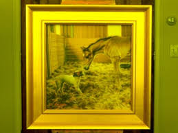 sandy EAMES ORIGINAL PAINTINGS IN OIL