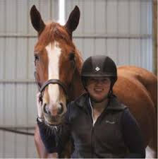 The horse's color is important. Testimonials And Experience German Horse Center