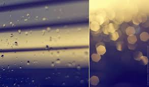 White rabbit: июня 2014