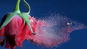 4k or uhd deliver four times as much detail as 1080p full hd. 4k Bright Wallpapers Top Free 4k Bright Backgrounds Wallpaperaccess