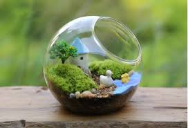 1698507534 645439998 Fairy Garden Containers Terrarium Decor Glass Flower Vases