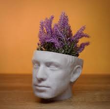 Nathan Fielder Head Planter