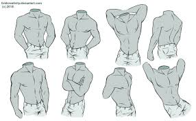 Jul 27, 2021 · the posterior trunk muscles are more commonly referred to as the muscles of the back. Muscular Torso Drawing Reference Novocom Top