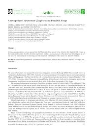 Image result for Aframomum spiroligulatum