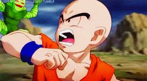 95% of dragon ball related memes are jokes at the martial artist's expense. Krillin Yamcha V S Saibamen Dragon Ball Z Fotografia 35929132 Fanpop