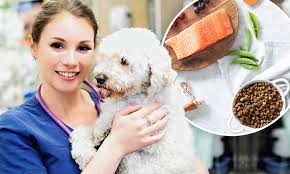 Arguably, the uk pet food market is lacking good quality affordable dog food. Everything You Need To Know About Pet Food And Why Nood Is A Great Choice By Leading Vet Daily Mail Online
