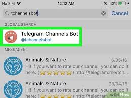 We did not find results for: 3 Ways To Find Telegram Channels On Iphone Or Ipad Wikihow