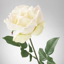 SMYCKA Artificial flower, rose/white, 75 cm (29 ½") - IKEA