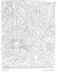 These alphabet coloring sheets will help little ones identify uppercase and lowercase versions of each letter. Amazon Com Mindware Hidden Predators Creature Camouflage Coloring Book Toys Games