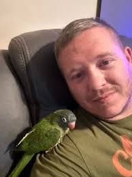 Our friends at Air Capital Aviaries still have a few Blue Crown Conure  Babies available