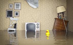 Jan 06, 2021 · flood insurance covers certain objects in your basement like most personal belongings and appliances, but typically won't cover the structure, such as finished ceilings or floors. Cleaning Up A Flood In The Basement Everdry Toledo
