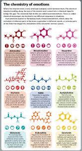 Charlie Evans 2018 Wrote A Great Article About The Science Of Emotions And I Ve Borrowed The Following Chart The C Understanding Emotions Emotions Chemistry
