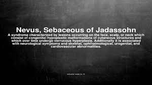 Nevus sebaceous of jadassohn (nsj) is a benign skin lesion, a hamartoma typically localized to the face or scalp and equally common in men and women. Medical Vocabulary What Does Nevus Sebaceous Of Jadassohn Mean Youtube