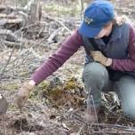 Glacial Hills Native Garden Installation