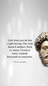 Why today's best business leaders look to stoicism. 230 Stoic Quotes Ideas Stoic Quotes Stoic Quotes