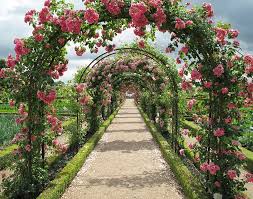 Fameil fameill garden arch arbor,metal pergola arbor,trellis for vines plant climbing wedding garden arch bridal party wedding decoration wide arbor outdoor gardening walkway arches. Garden Arches 1080p 2k 4k 5k Hd Wallpapers Free Download Wallpaper Flare