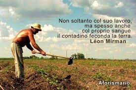 Info su spiga di grano. Aforismario Aforismi Frasi E Proverbi Sui Contadini