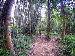 These stays are highly rated for location, cleanliness, and more. A Fairy And A Vamp Hike Up Bukit Kutu Kinkybluefairy