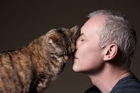 Why Is My Cat Rubbing Her Head On Everything Love Your Pet Day Cat Love Love Your Pet