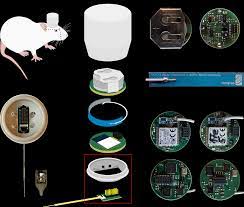 Microphone & cable speech processor antenna/transmitter. Https Www Biorxiv Org Content 10 1101 2020 05 25 114868v1 Full Pdf