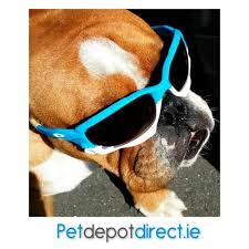 We did not find results for: Pet Depot Enniscorthy Home Facebook