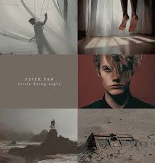 Peter Pan Disney Aesthetic Peter Pan Disney Character Aesthetic