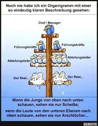 Noch Nie Habe Ich Ein Organigramm Mit Einer Lustige Bilder Spruche Witze Echt Lustig Organigramm Lustige Spruche Bilder Witze
