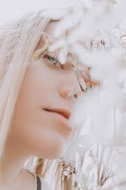 Preston Lawrence Photography