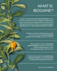 Image result for Tabernanthe