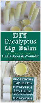 Homemade Eucalyptus Lip Balm In 2021 The Balm Lip Balm Recipes Natural Lip Balm