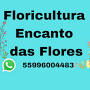 Floricultura Encanto Das Flores from m.facebook.com
