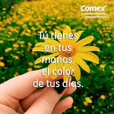 Pintalo Y Llenalo De Colores Comexpinturerias Decoracion Mundodecolor Quotes Lockscreen Lockscreen Screenshot