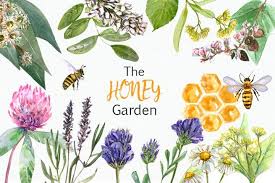 Watercolor Honey Garden Clip Art 403534 Illustrations Design Bundles Clip Art Illustration Illustration Design