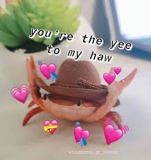 Text Me Cute Love Memes Wholesome Memes Gf Memes
