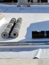 Mugshots in pinellas park, fl. Roofing Roofing Companies Roofers Pinellas County Largo Fl