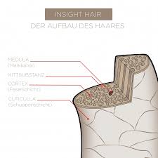 The cortex also houses the pigment (melanin) that gives hair its natural color. Newsha Hair Structure Insight