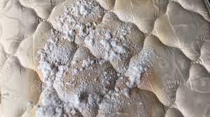 Jul 24, 2020 · for best results, it's essential to engage a mattress cleaning service at least every six months or one year to remove dirt, dust, germs, and stains—particularly yellow stains. How To Clean A Mattress Stain Removal Youtube