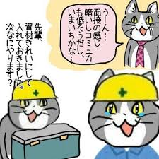 からあげのるつぼ on twitter 猫 おもしろ猫のミーム 面白い動物のミーム
